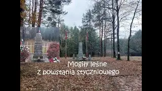 Dwa leśne pomniki - mogiły z powstania styczniowego w gminie Strach&oacute;wka.