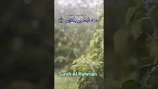 Quran reaction learn Quran online Teaching surah Al rahman #ytshorts #religion #qurancover