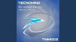 No Reason For Cry (Original Mix)