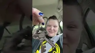 Old skeleton keys 🔑 for old Montana state prison. ( trigger object)