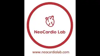 Neonatal ventricular cardiac function - principles and assessment by echocardiography