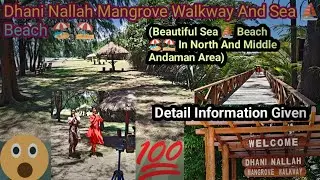 Dhani Nallah Sea Beach ⛱️🏖️ | Beautiful Sea Beach In North And Middle Andaman #andaman #travel #tour