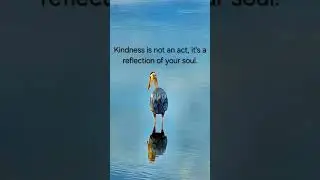 kindness 😇 #action#reflection#soul#kindness#youtube#youtubeshorts#shorts#short#viral#love #trending