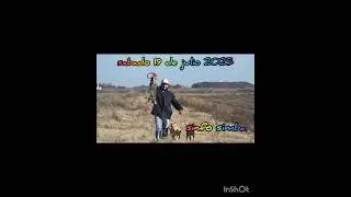 invierno 2025