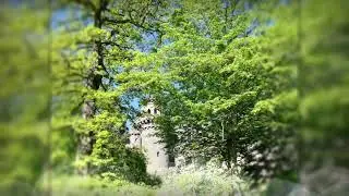 Impressionen L&ouml;wenburg im Bergpark Wilhelmsh&ouml;he