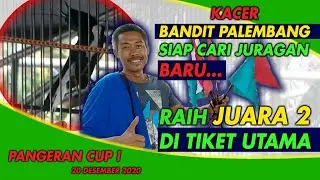 LEHER PATAH TANPA KONTROL | KACER BANDIT PALEMBANG | SIAP CARI JURAGAN BARU |