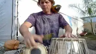 dave norwoods tabla playing/ dancing macaws 2009