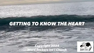 Getting to Know the Heart by Shepherd Toby (Malibu Beach Scenes)