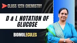 Configuration of Glucose - D &L- Notations - Class 12  Chemistry | Chapter 10 - Biomolecules