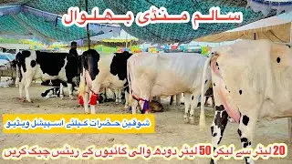Salam Mandi Bhalwal | Biggest Milking Cows In Pakistan | Cows Fresh Rates And Updates |26 Jan 2026