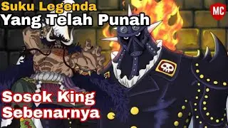 King Seorang Lunarian Ras Langka Yang Telah Habis | One Piece