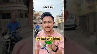 The ₹40 Breakfast Challenge in Vapi #foodeatingchallenge #food #gujarat #vapi #shorts