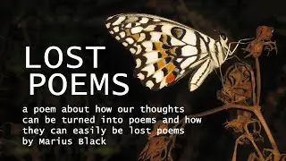 𝐋𝐨𝐬𝐭 𝐏𝐨𝐞𝐦𝐬  &bull;  a poem by Marius Black