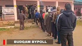 Budgam Bypoll: Voting Begins as 1.26 Lakh Voters Decide Fate of 17 Candidates