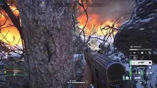 BFV: SOLO TOP 1