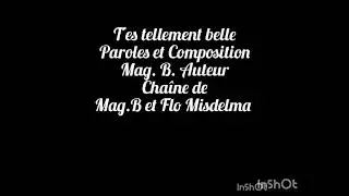 T'es tellement belle - Paroles et composition Mag.B.Auteur