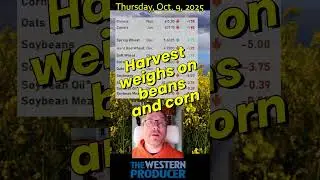 Morning grain and oilseed market update for Oct. 9: #Canola turns lower