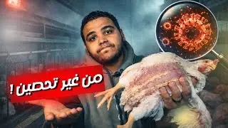 فيرس ضرب العنبر | عملت إيه عشان أقلل الخسائر؟ - القصة الكاملة..