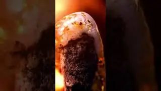 pourig glitters on bud zoom in  #satisfying #oddlysatisfying #burning