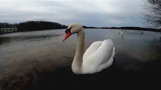 GoPro Hero 8 Black - 1080p 240 fps - slow motion | TEST