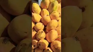 #mango🥭 sweet #fruits #Pakistan in #Azanvideopresent