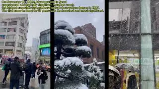 Heavy Snow in Myeong Dong in Real - On November 27, 2024. - Wednesday