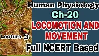 NCERT Ch-20 Locomotion and Movement Class XI Human Physiology lecture 3 Boards