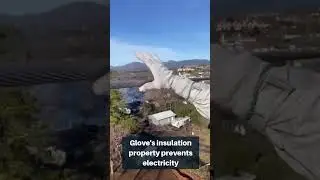 Grabbing high-voltage line with gloves ⚡️🧤 #fascinating