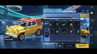 C1S2 M4 Royal Pass | Temporal Warrior