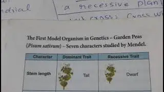 12th botany (22)| Classical genetics | one word explanation 😊☺️🥰❤️💜