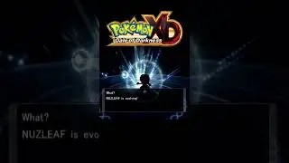 XDGOD 3D EVOLUTION