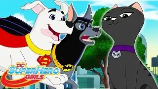 Ett rent hundg&ouml;ra Del 2 | 408 | DC Super Hero Girls Svenska