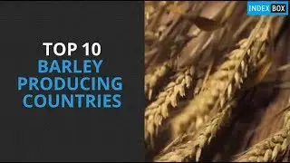 Top 10 Barley Producing Countries