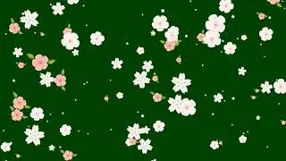 Flowers Falling | Green Screen