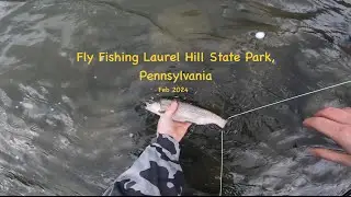 Trout fishing Laurel Hill State Park with zebra midge, Pennsylvania, Fly Fishing