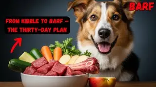 From Kibble to BARF &mdash; The 30-Day Plan That Transforms Any Dog
