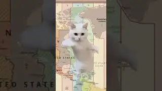 Time zones explained by cats! 🐱