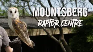 Mountsberg Raptor Centre