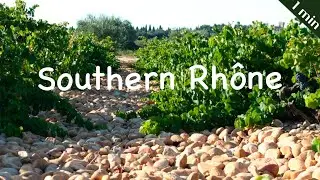 Southern Rhone | Wine region | Wine basic | Wine study