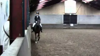Fleur's F3 proef op Amigo bij manege Snorrewind