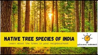 Native Tree Species of India in Tamil | Learn About The Trees in Your Neighbourhood