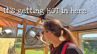 Heating up in the greenhouse, trying to battle weeds, and picking a stain!