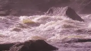 Arctic Circle Foggy River.