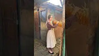 Switzerland people village life #travel #switzerland #shortvideo #ytshort