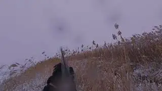 Sezonun İlk Parlama &Ouml;rdek Avı 2026 Duck Hunting Утиная охота Chasse au canard صيد البط caza de patos