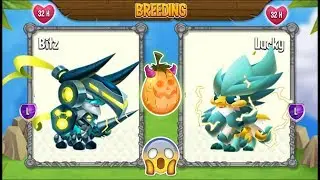 NEW BREEDING: Space Knight Dragon & Furry Dragon | DRAGON CITY 😍