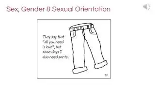 Introduction to Safe Zone & LGBTQ+ Identities, UNC Greensboro Safe Zone Training Program