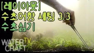 [레이아웃]수초어항세팅3_3_[LAYOUT]PlantedAquarium3