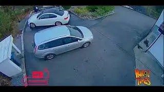 New Funny Videos 2020  People doing stupid things Funny Fails Compilation