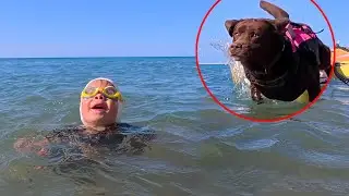 Dog Reacts To 3 Year Old Swimming Without Life Jacket! Cutest Moment!